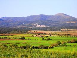Una de las estampas ampurdanesas que Josep Pla describe en su libro Viaje en autobús