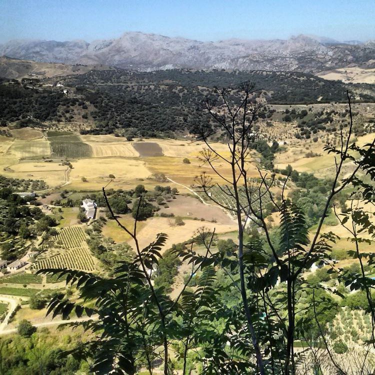 1072437_545290868864995_1844532887_o