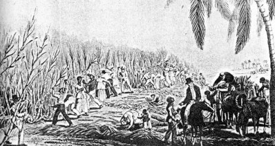 800px-esclavos_en_el_cac3b1averal