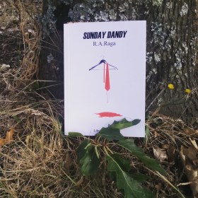 El otro día me llevé el libro de Sunday Dandy al campo