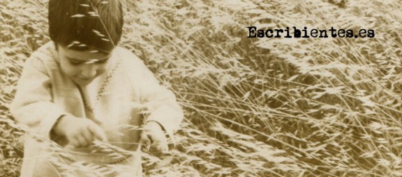 cropped-marise-blog-cabeceira