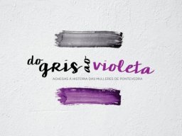 gris_violeta