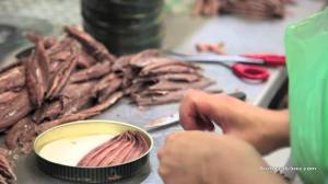 La conserva de la anchoa es el tema de este libro