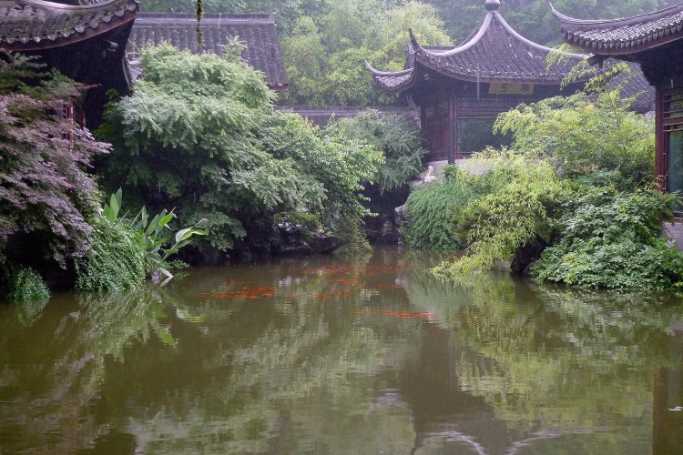 Las preciosas fotos que acompañan los poemas son de Germán Gómez