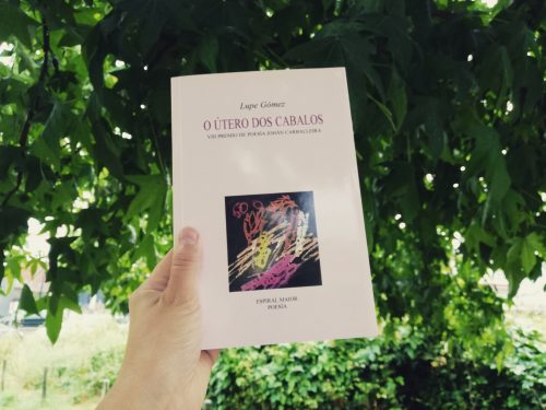 O útero dos cabalos- Lupe Gómez